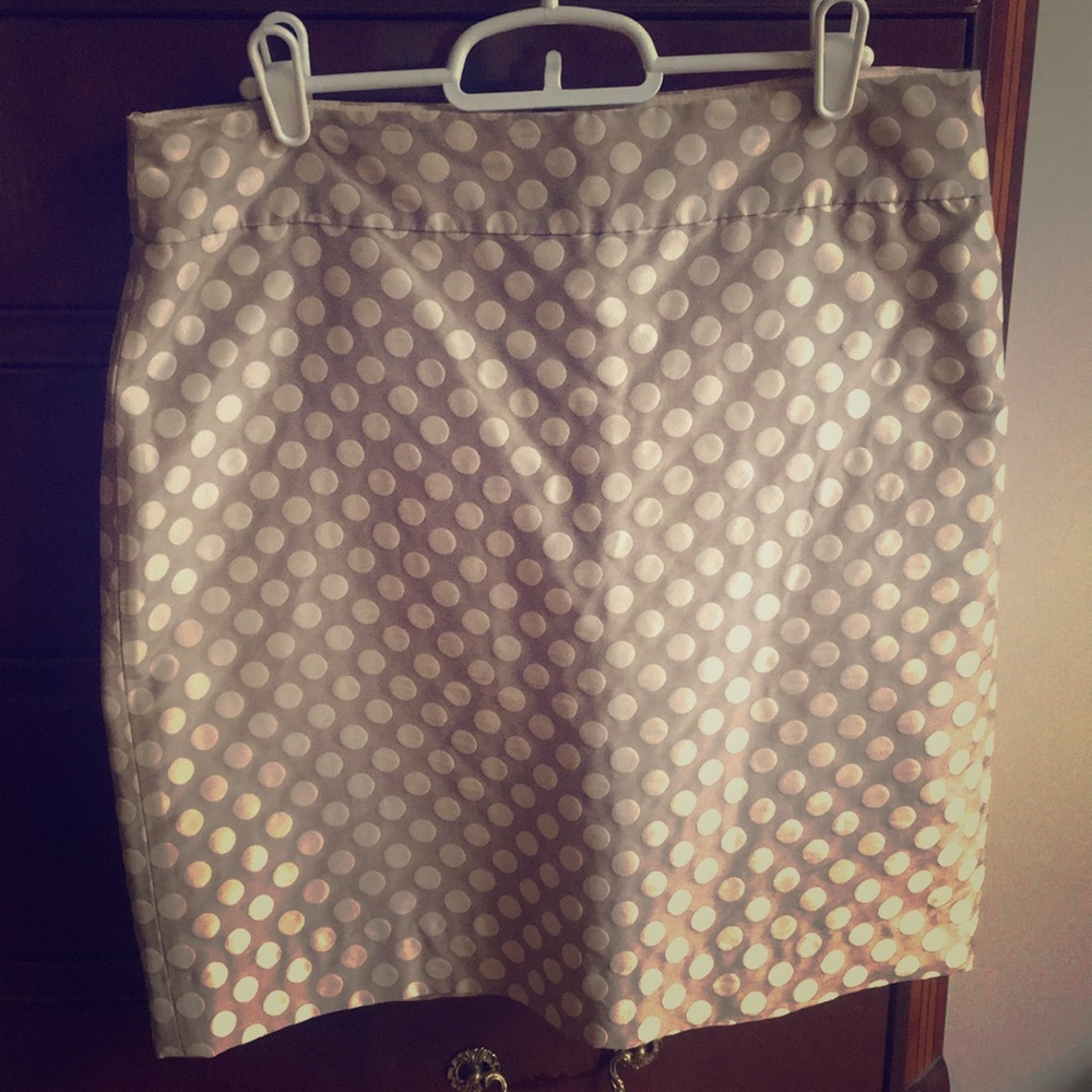 Silk J Crew skirt